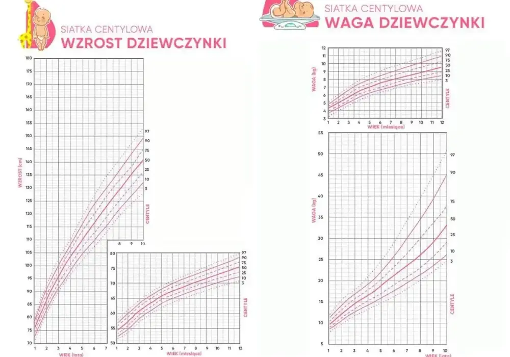 Siatki centylowe wzrostu i wagi dziecka - jak czytać wyniki?