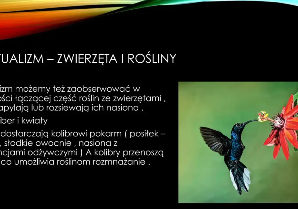 Mutualizm w biologii - przykłady, znaczenie i różnice