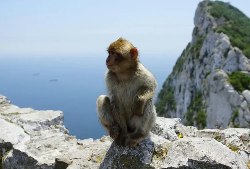 Gibraltar: dowód czy paszport? Sprawdź, co jest potrzebne do wjazdu