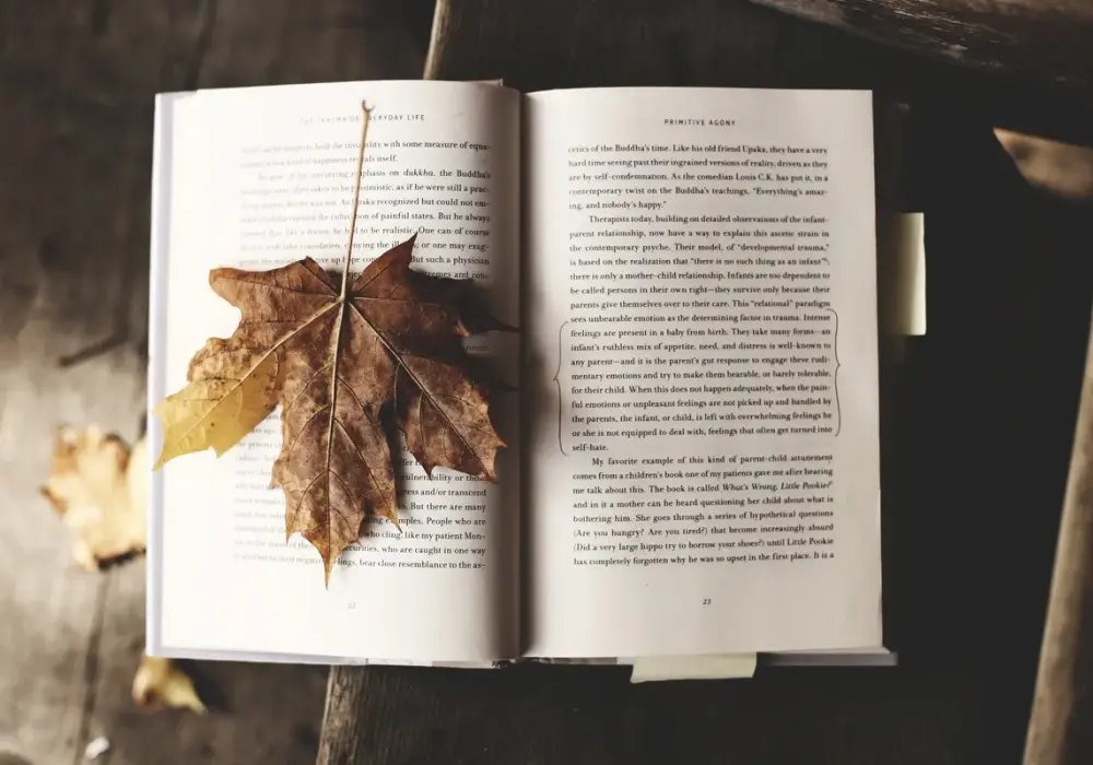 Co to jest literatura faktu? Odkryj jej znaczenie i różnice z fikcją