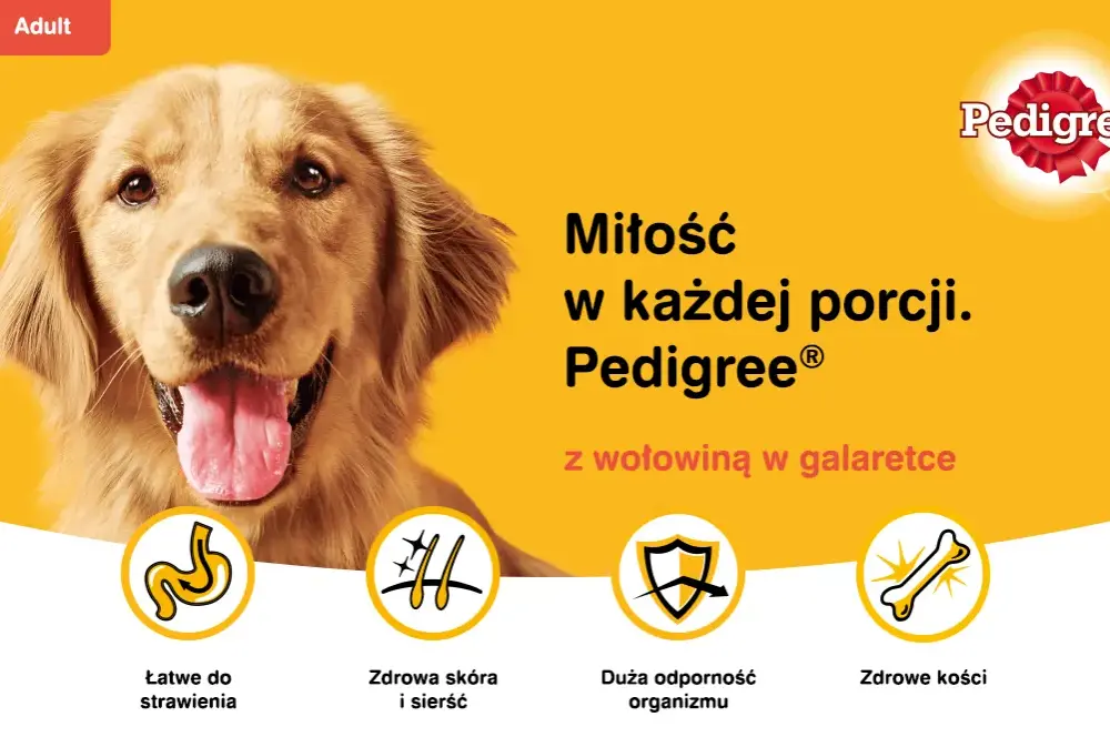 Czy karma Pedigree jest dobra dla psa? Opinie i wady, które musisz znać