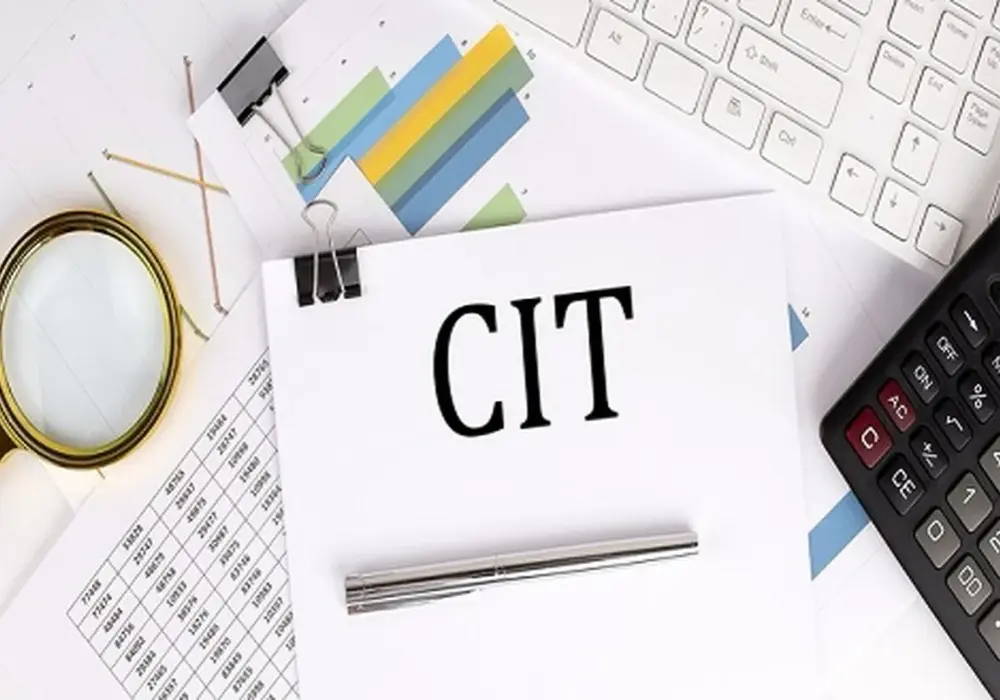 CIT-8E - rozliczenie estońskiego CIT bez błędów. Sprawdź!