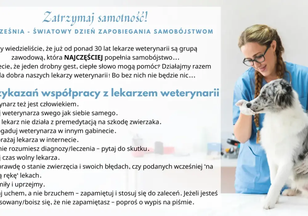 Lekarz weterynarii czy doktor? Wyjaśniamy wątpliwości i savoir-vivre