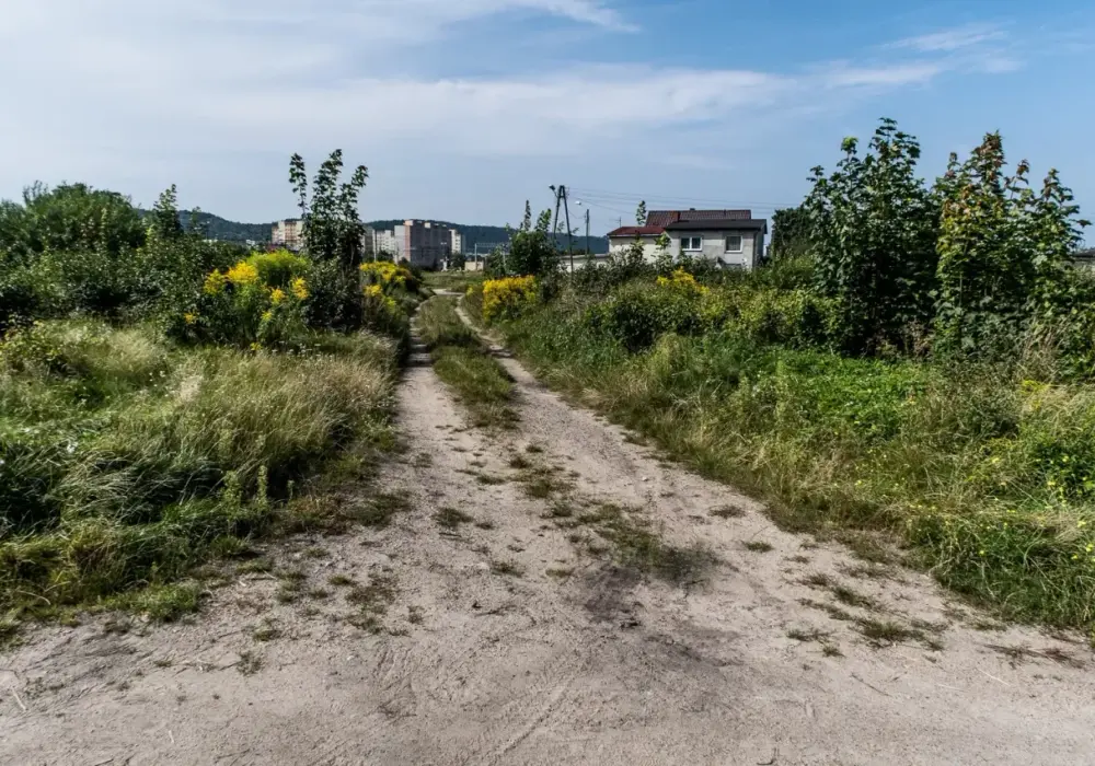Służebność drogi w akcie notarialnym - Jak uniknąć pułapek?