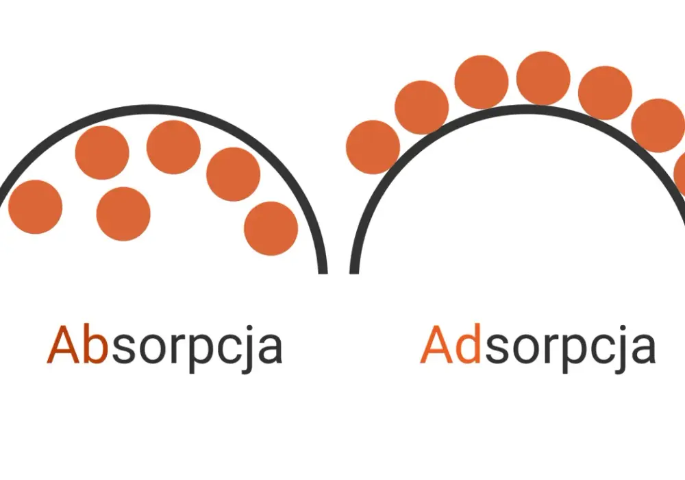 Absorpcja: Co to jest? Definicja, rodzaje i przykłady