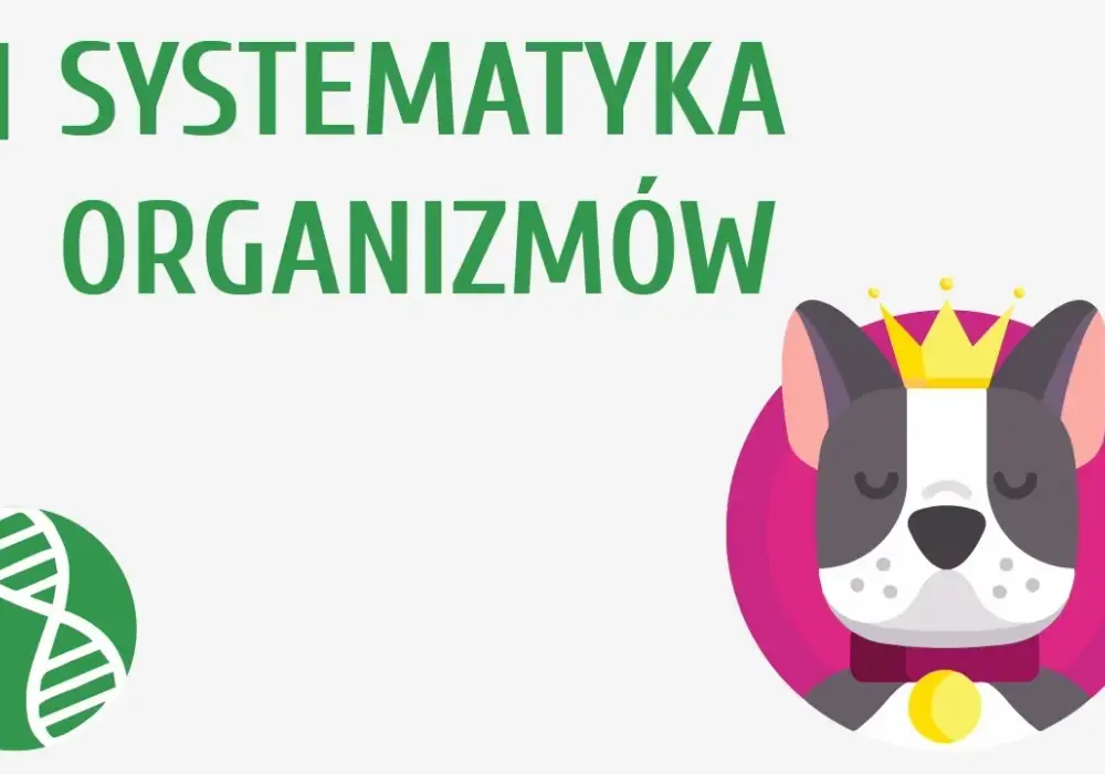 Co to jest systematyka w biologii i dlaczego jest tak ważna?