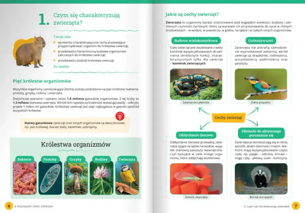 Czym zajmuje się biologia? Poznaj fascynujący świat życia i organizmów