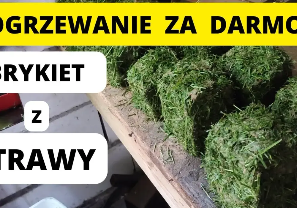 Jak zrobić brykiet z trawy - proste kroki i najlepsze materiały