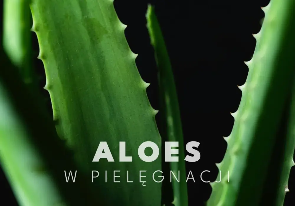 Aloes na twarz - kiedy pomaga i jak używać go bez błędów