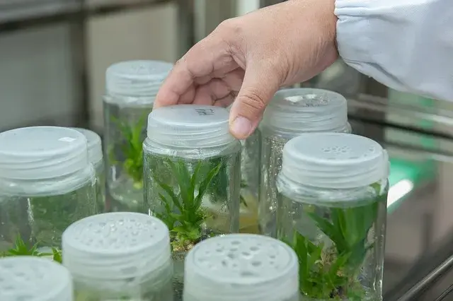 Czy po biotechnologii można uczyć w szkole? Sprawdź wymagania!