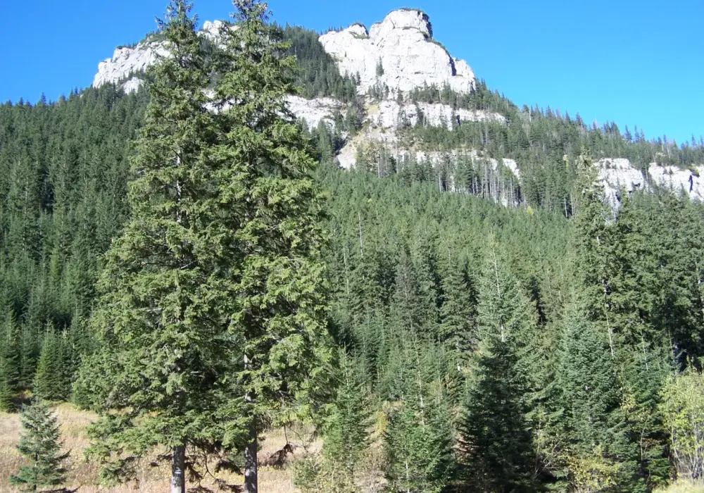 Regle - Co to jest i dlaczego to pierwszy krok w Tatry?
