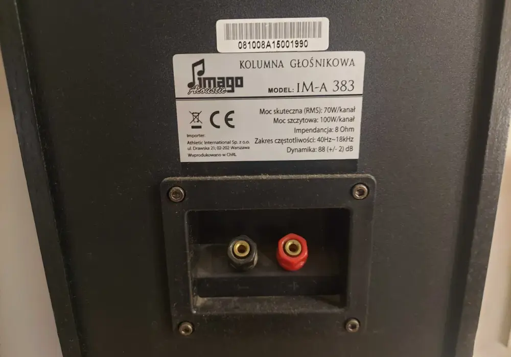 Kolumny 100W 8 Ohm: Jak dobrać wzmacniacz i znaleźć swój dźwięk?