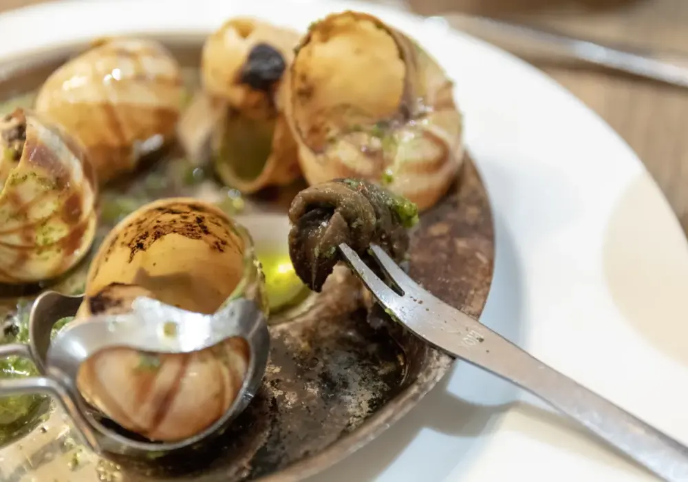 Escargot: Czym jest francuski przysmak i jak go jeść?