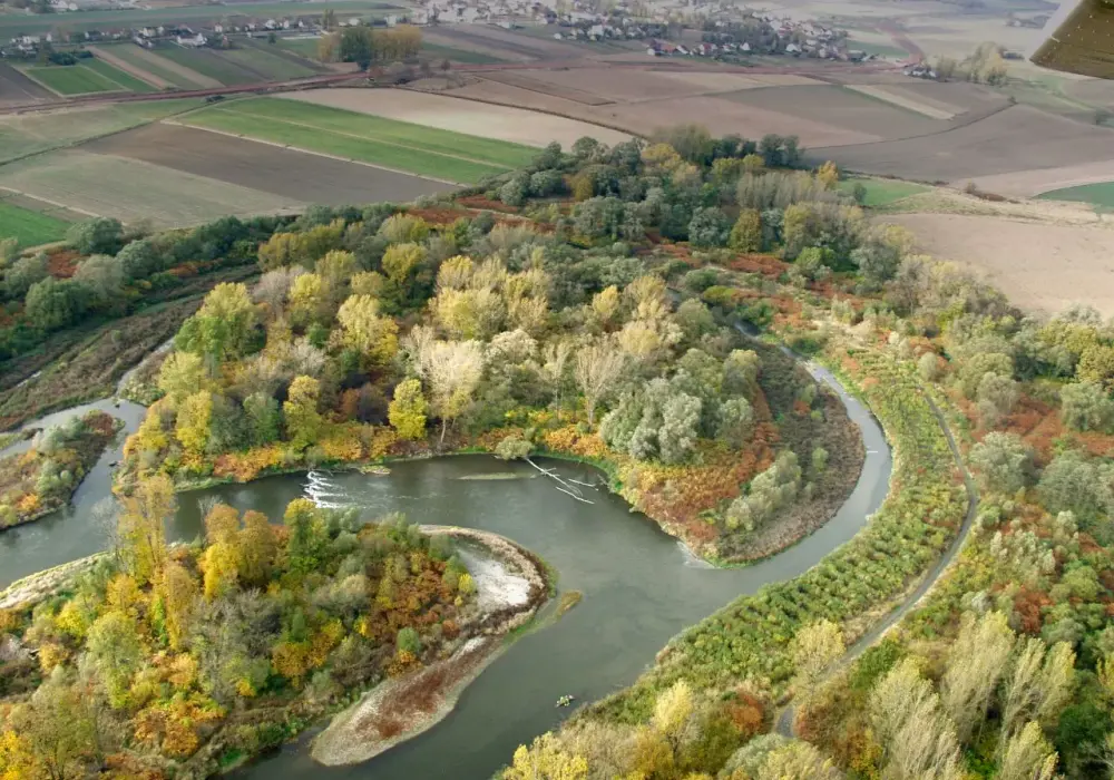 Graniczne Meandry Odry: Wieża, kajaki, bobry pełny przewodnik