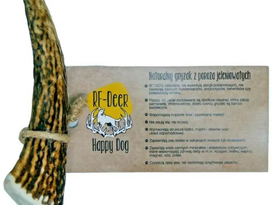 Róg jelenia dla psa od kiedy? Sprawdź, co musisz wiedzieć