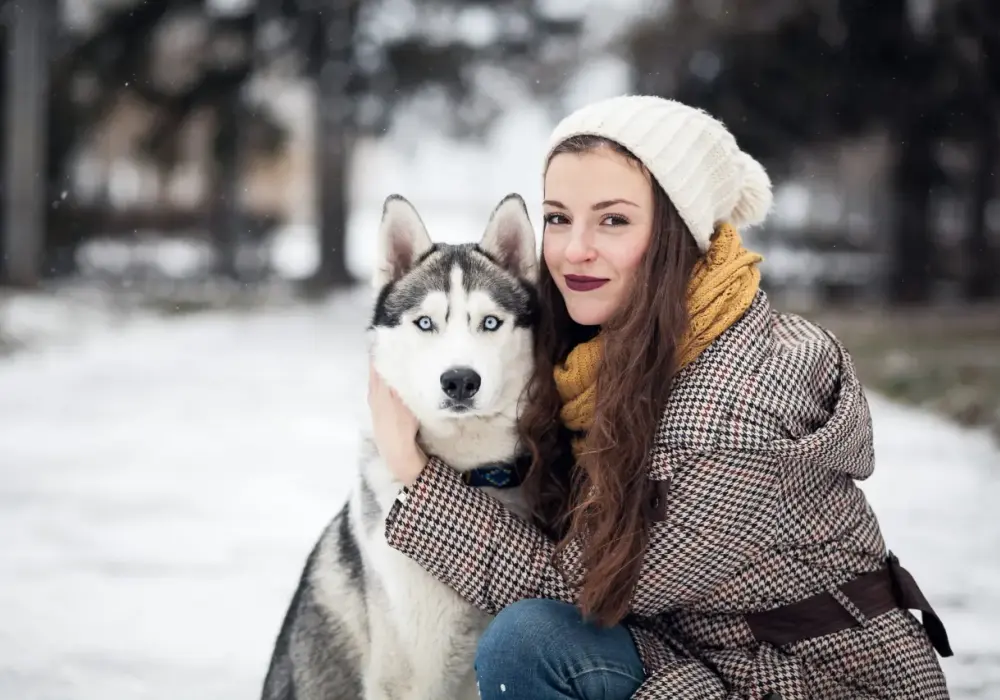 Czy husky szczekają? Poznaj ich unikalną komunikację!