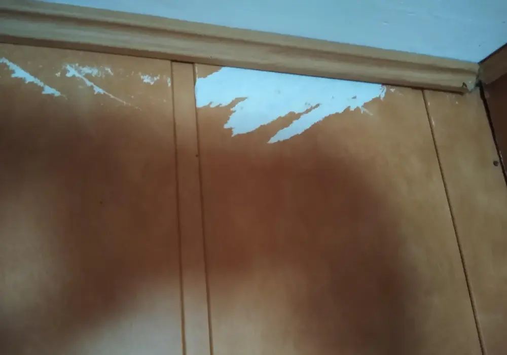 Stare panele papierowe jak nowe? Pomaluj je - poradnik DIY