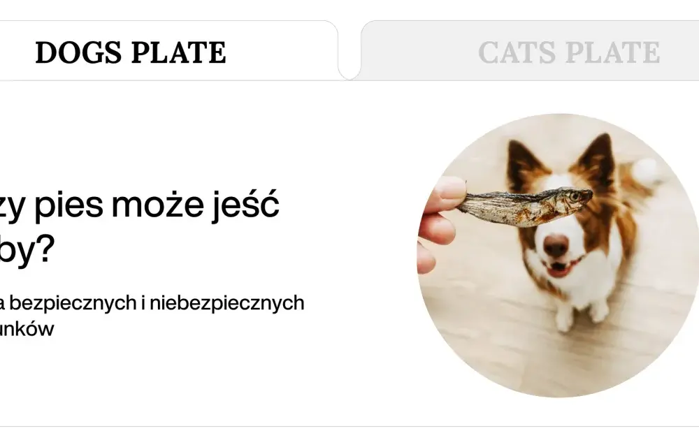 Ryby dla psa: Jak podawać bezpiecznie, bez ości? Ekspert radzi