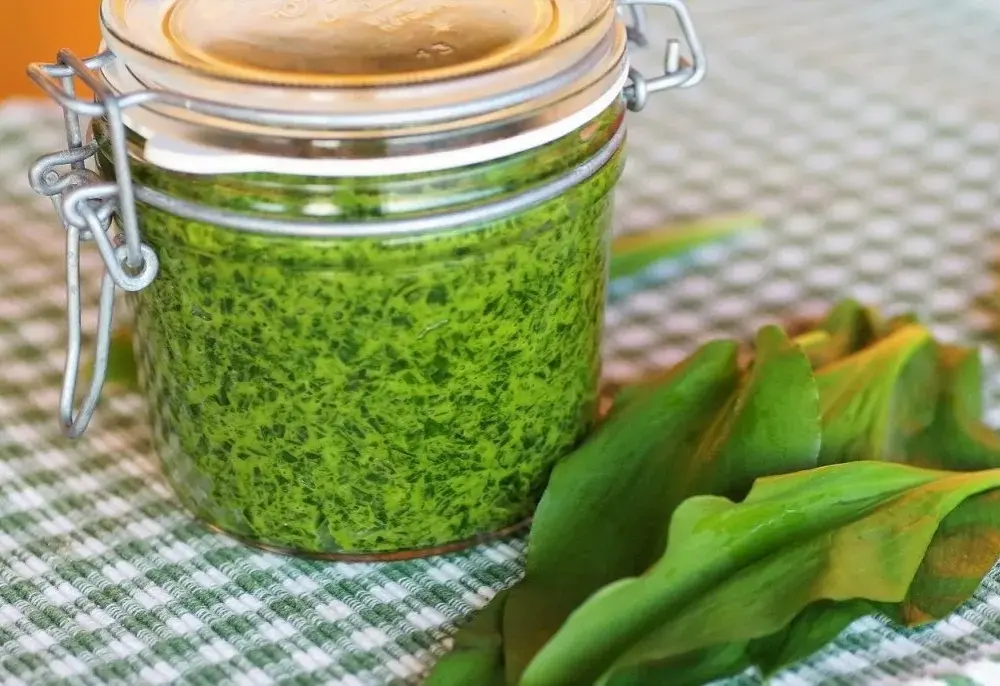 Gdzie kupić pesto z czosnku niedźwiedziego - najlepsze opcje i ceny