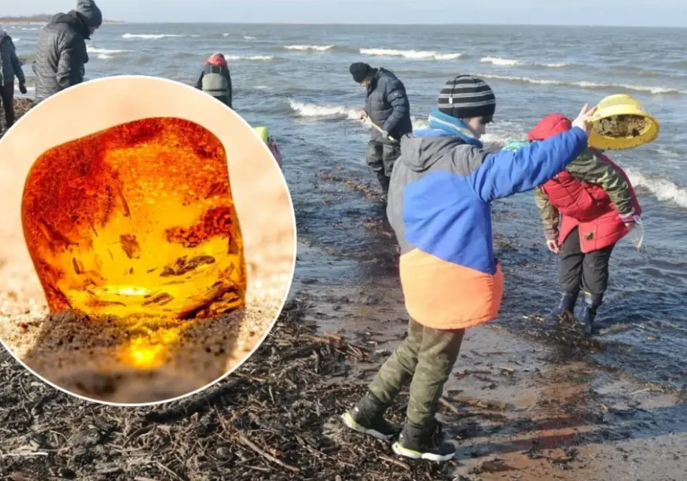 Jak znaleźć bursztyn nad Bałtykiem: skuteczne metody i najlepsze miejsca