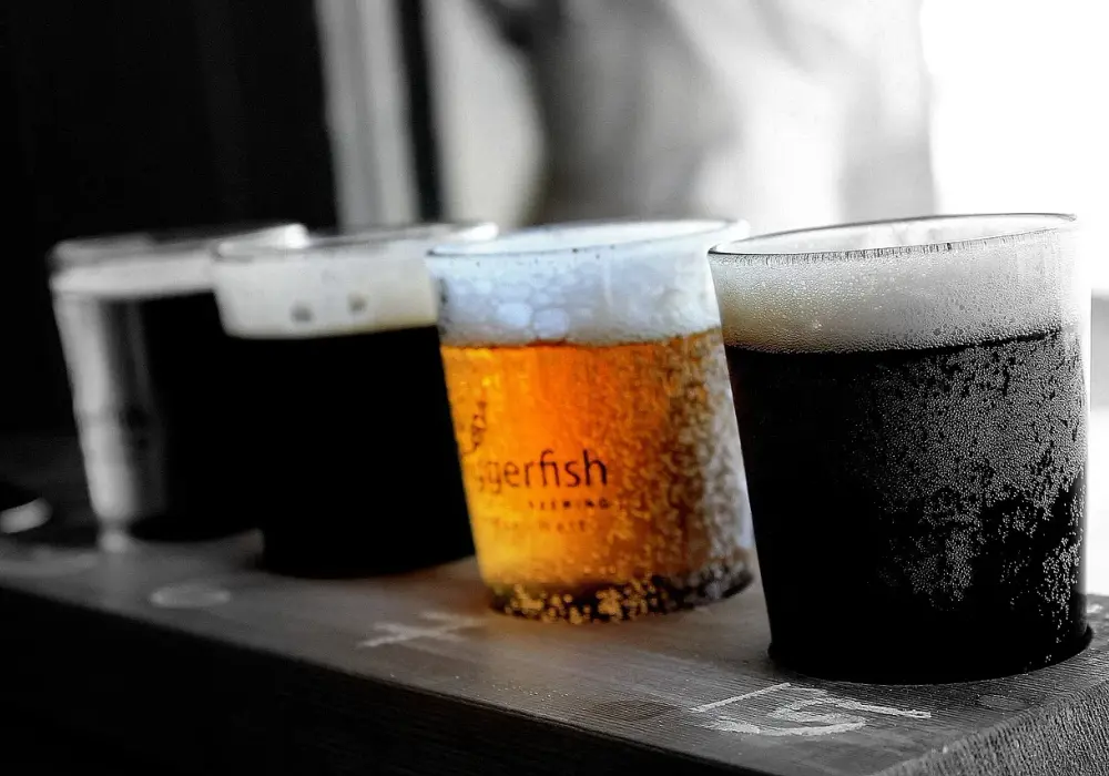 Jak odróżnić stout od ciemnego lagera? Prosty przewodnik