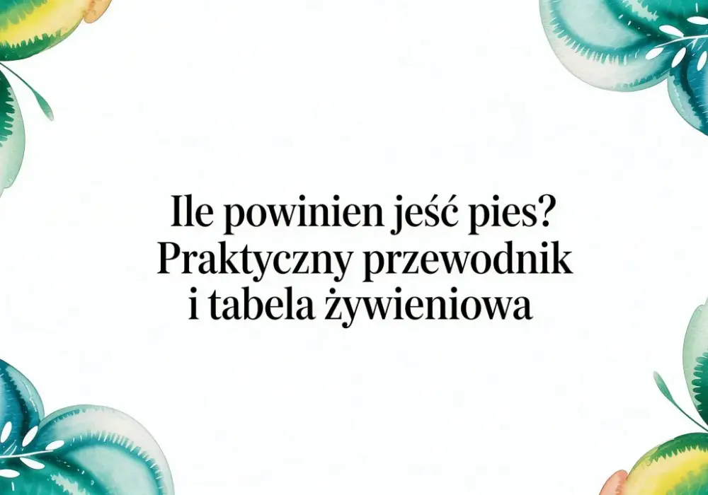 Jak dawkować karmę psu? Oblicz zapotrzebowanie kaloryczne