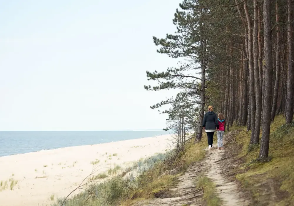 Promenada w Karwi - Sprawdź, kiedy unikać tłumów!