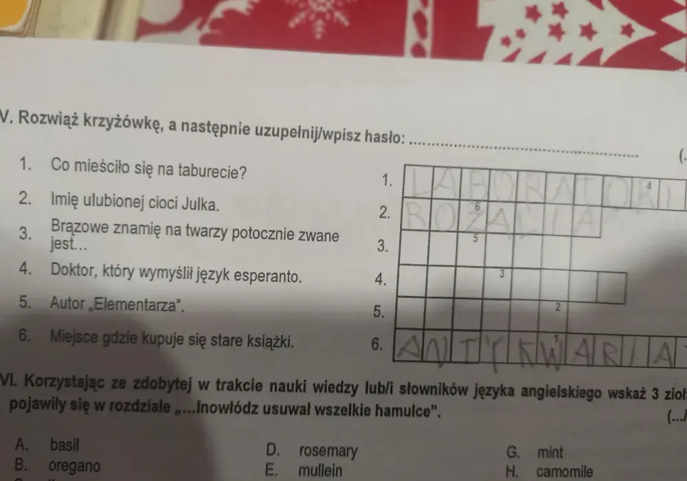 Rany Julek - Sprawdzian, pytania i odpowiedzi. O co zapyta nauczyciel?