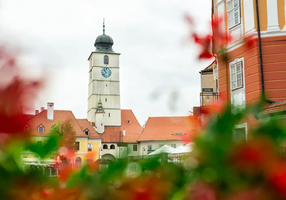 Zdrowie w dużych miastach: jak mieszkańcy Trójmiasta zmieniają swoje nawyki nikotynowe?