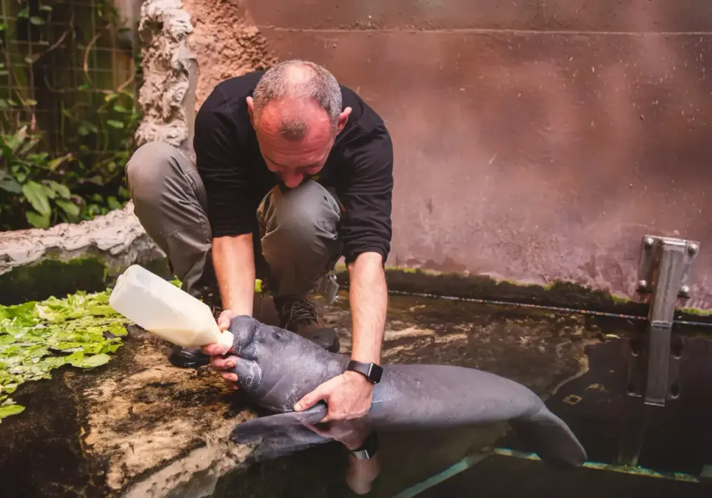 Ile zarabia zoolog w Polsce - Czy pasja się opłaca?