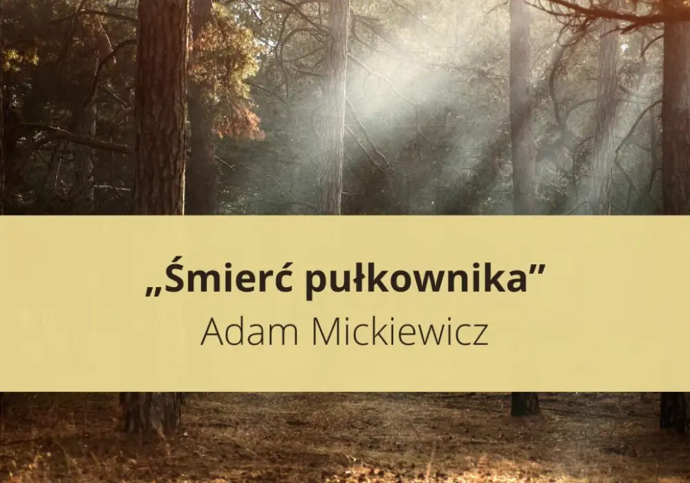 Śmierć Pułkownika - streszczenie, analiza, Emilia Plater