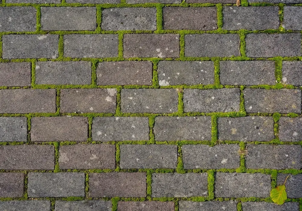 Jak usunąć zielony nalot z kostki brukowej - skuteczne metody i porady
