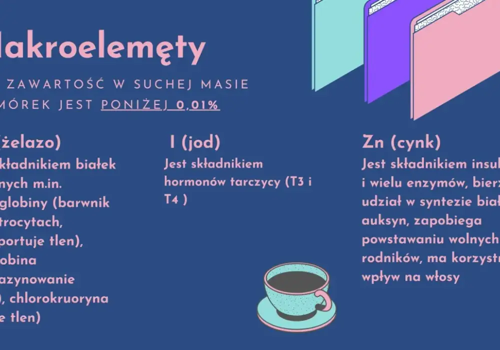 Pierwiastki chemiczne w biologii - Dlaczego ilość to nie wszystko?