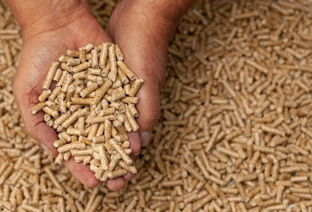 Pellet co to? Wszystko o ekologicznym paliwie przyszłości