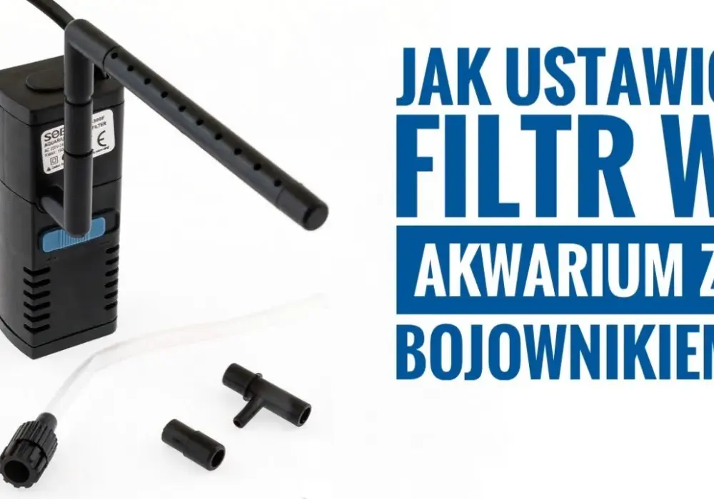 Jak prawidłowo zamontować filtr w akwarium – uniknij błędów i zadbaj o ryby