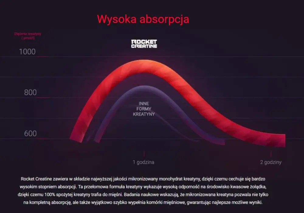 Kreatyna ranking - Która forma ma sens i jak ją dawkować?