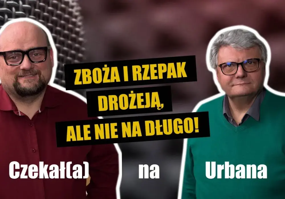 Aktualna cena rzepaku w skupie – nie daj się zaskoczyć!