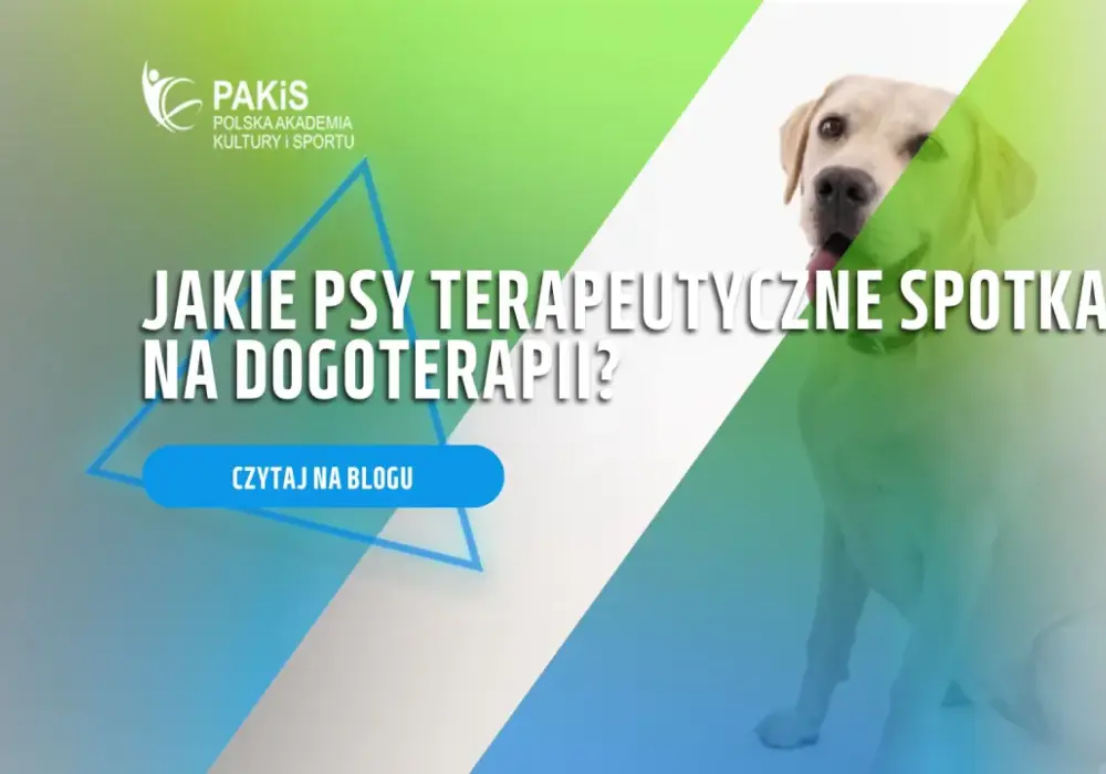 Idealny pies terapeuta: Jak wybrać szczeniaka do dogoterapii?