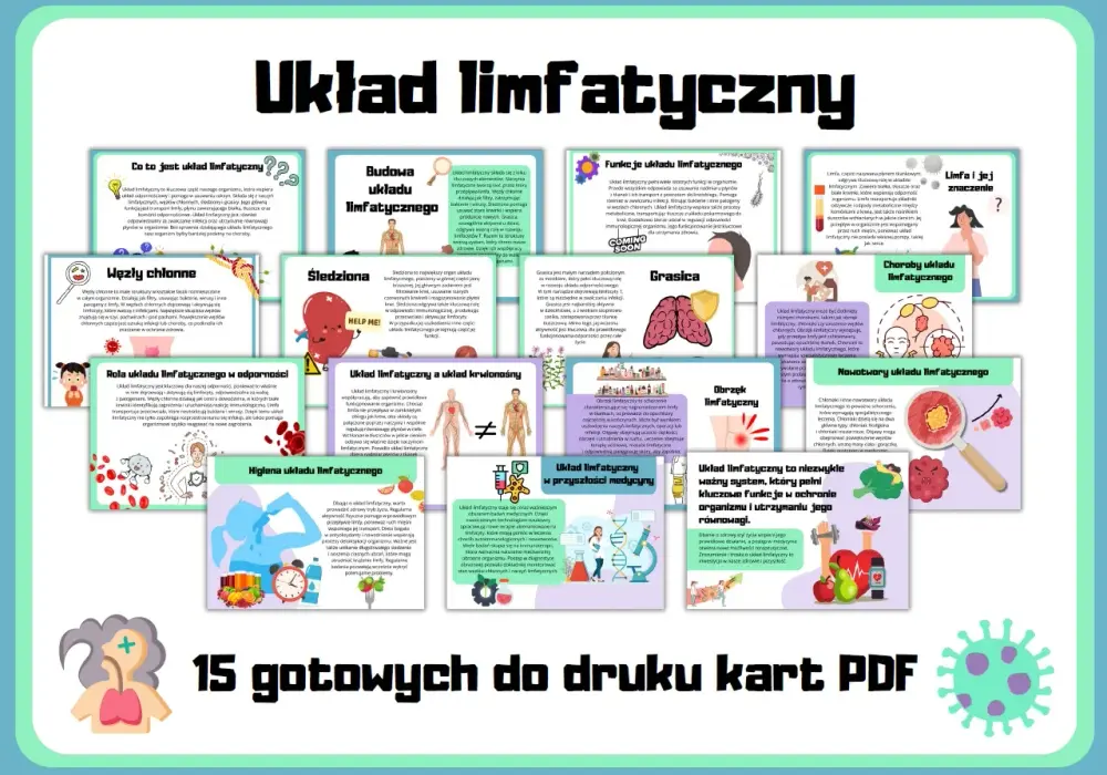 Układ limfatyczny - Co to jest i kiedy wymaga uwagi?