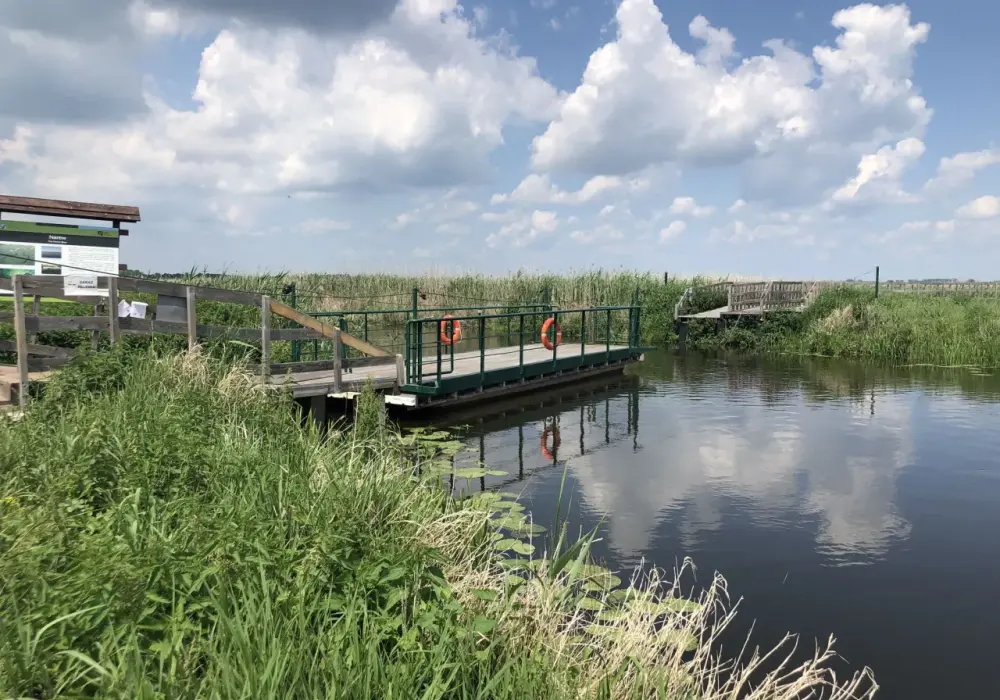 Narwiański Park Narodowy - Co zobaczyć? Plan idealnej wizyty
