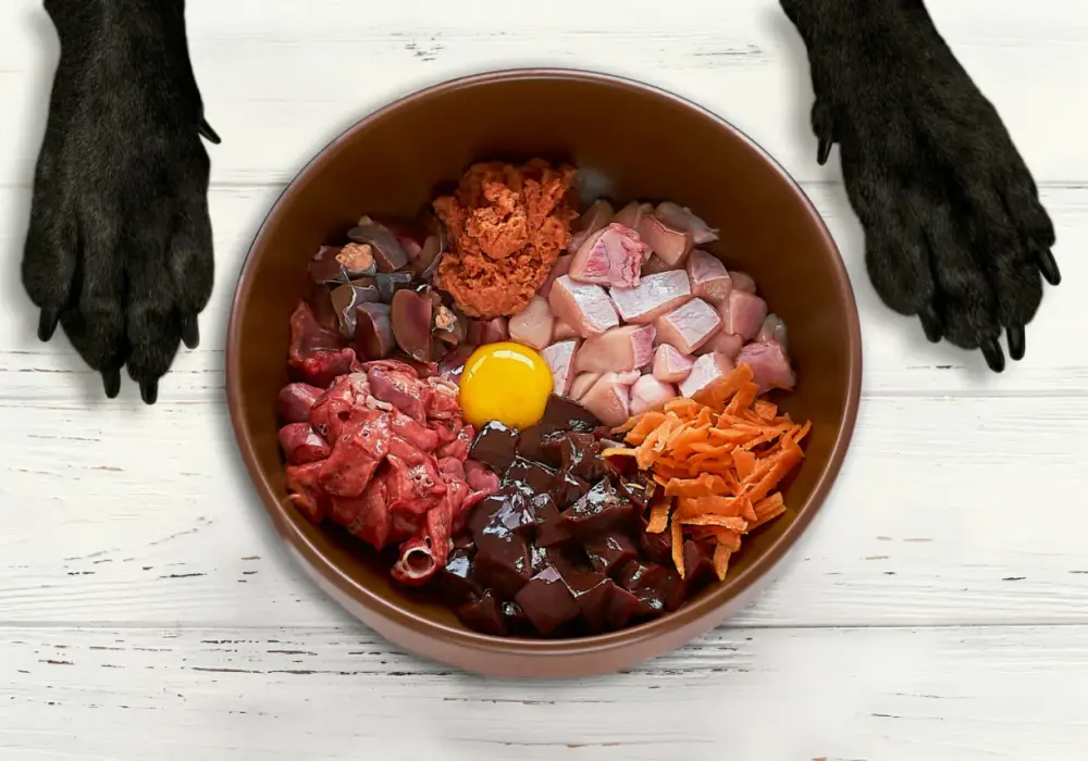 BARF: Jak zbilansować dietę psa/kota i uniknąć pułapek?