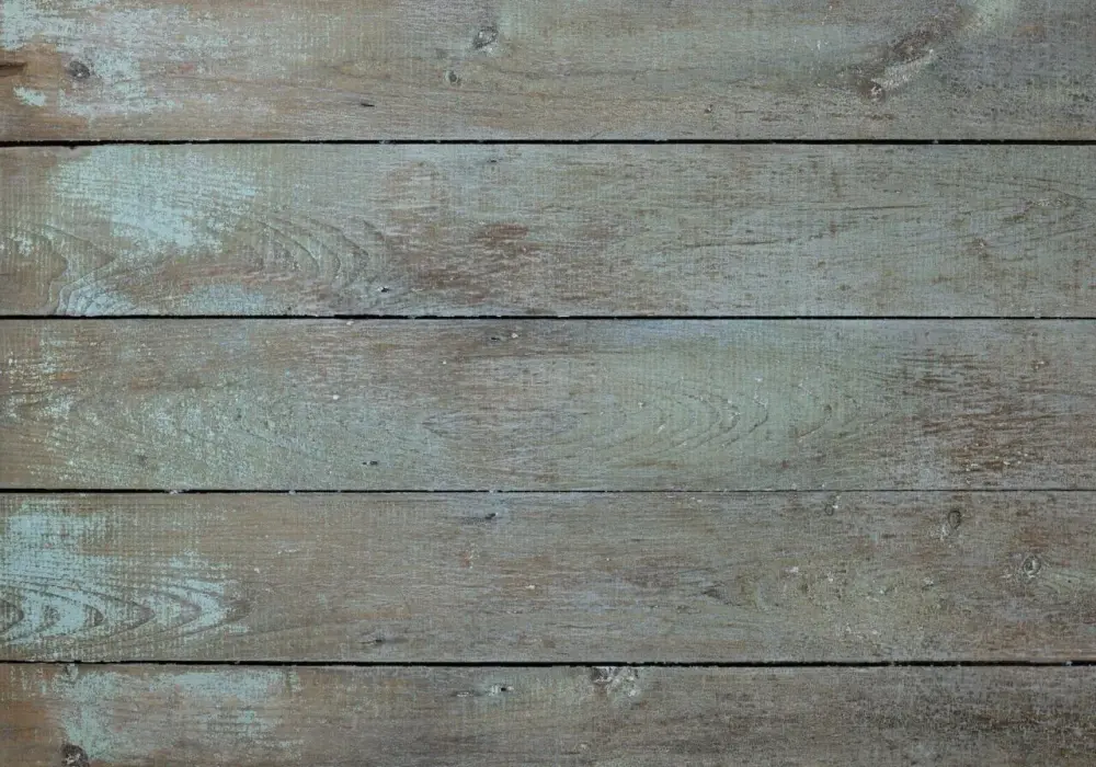 Sinizna drewna - Estetyka czy zgnilizna - Jak ocenić i zapobiec