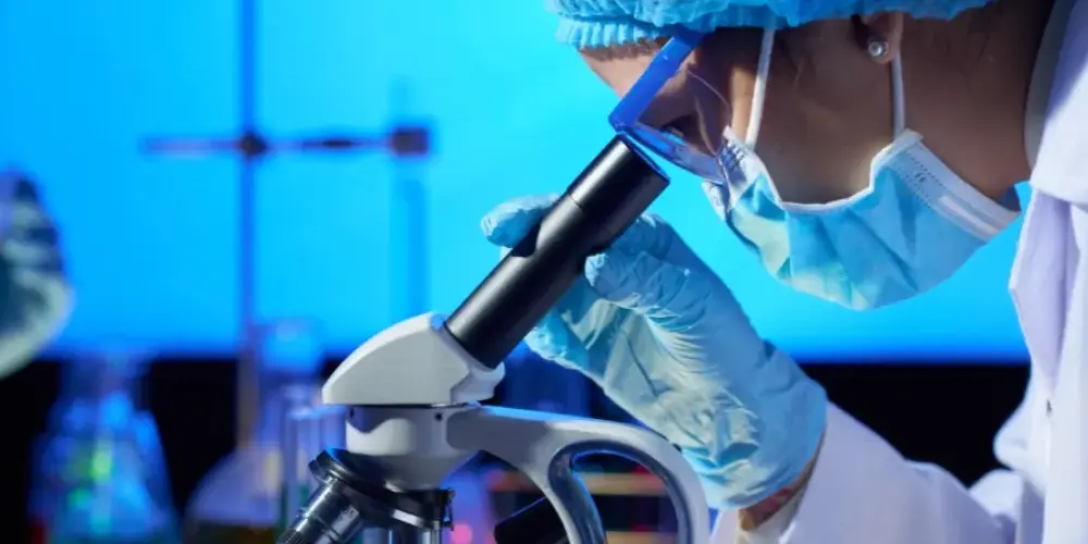 Jakie studia po maturze z biologii? Odkryj najlepsze możliwości edukacyjne