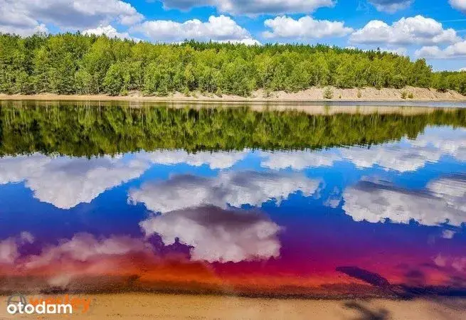 Działki nad jeziorem Lubuskie - idealne miejsca na inwestycję i relaks