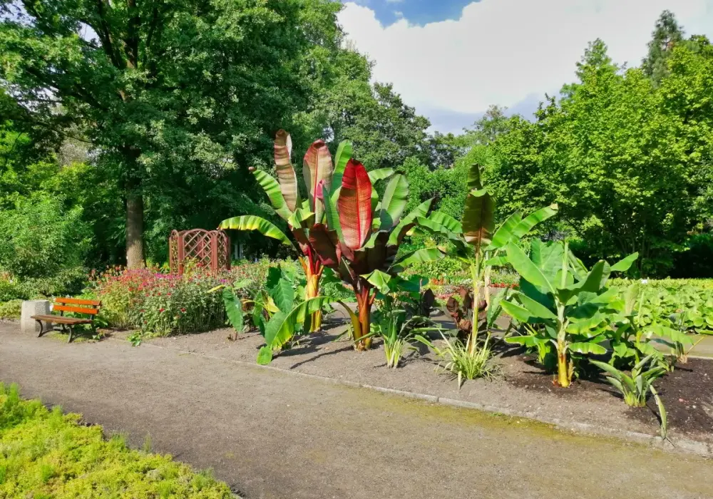 Miejski Ogród Botaniczny Zabrze: Jak zaplanować idealną wizytę?