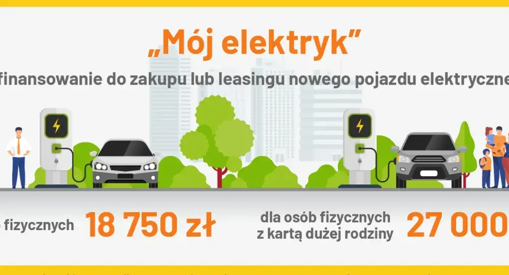 Dopłaty do aut elektrycznych - Czy wiesz, ile można było zyskać?