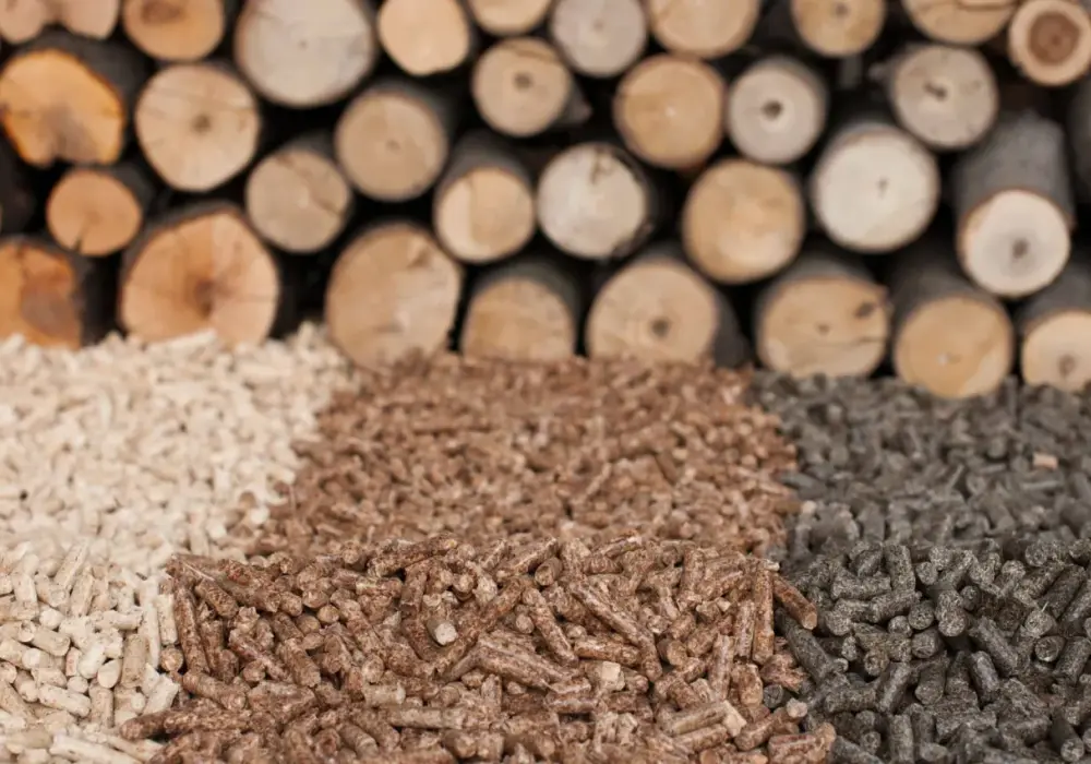Ile kosztuje pellet w Niemczech? Ceny, które zaskoczą i rozczarują