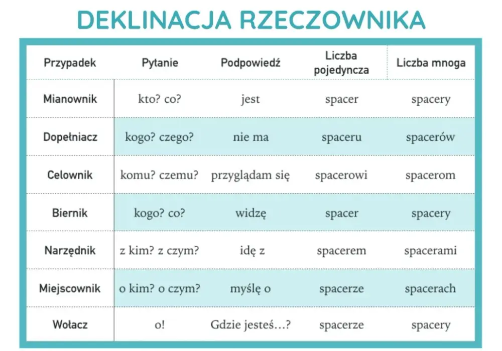 Rzeczownik - na co odpowiada? Proste zasady i przykłady