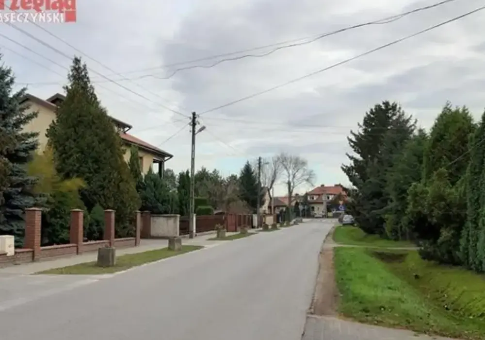 Kiedy najlepiej jechać do Powsina, by nie przegapić piękna natury