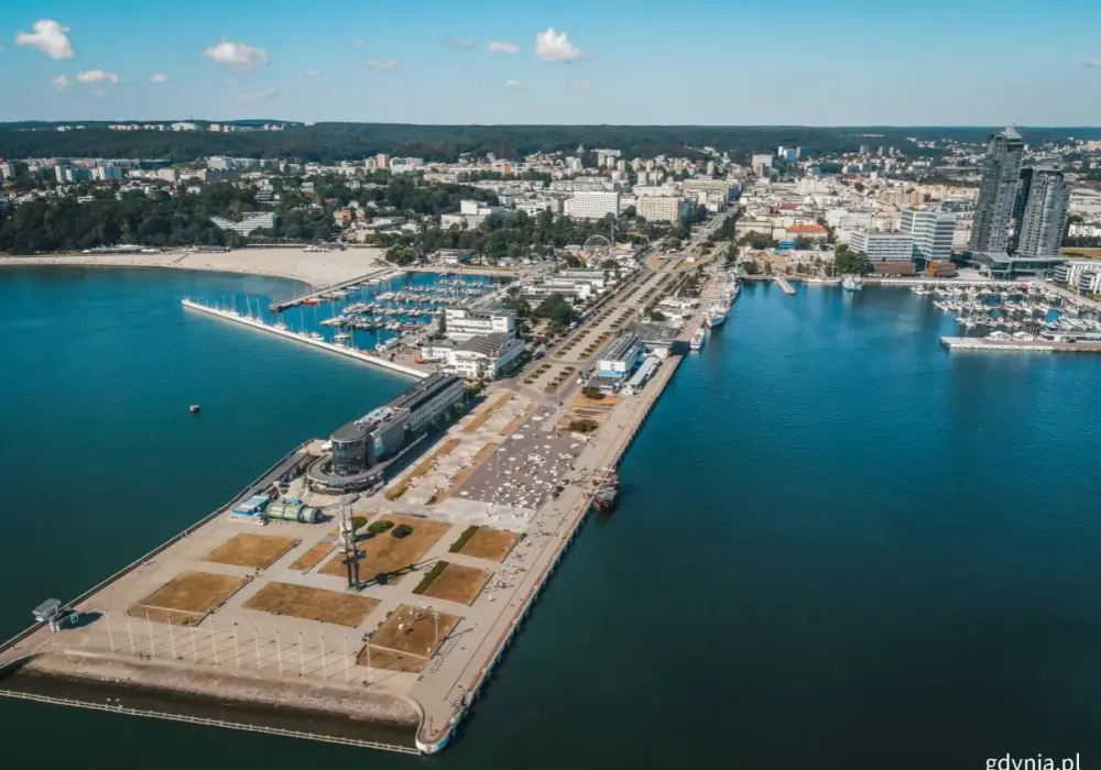 Gdynia ile ma mieszkańców? Zaskakujące dane o populacji miasta